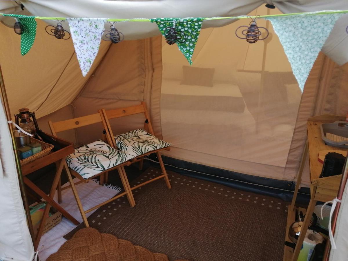 Coed Y Brenin Retreat - Bell Tent Glamping Near Aberaeron Ciliau-Aeron エクステリア 写真