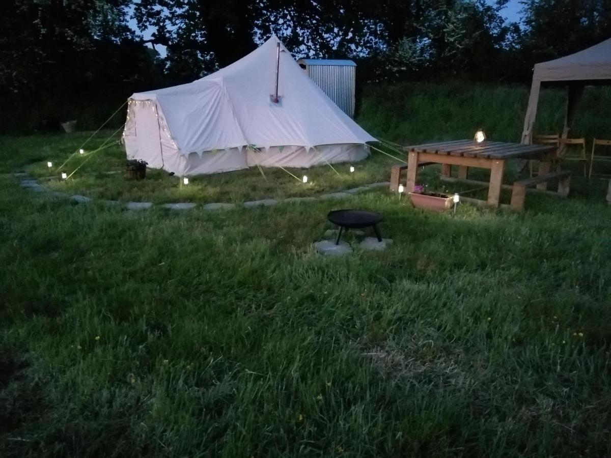 Coed Y Brenin Retreat - Bell Tent Glamping Near Aberaeron Ciliau-Aeron エクステリア 写真